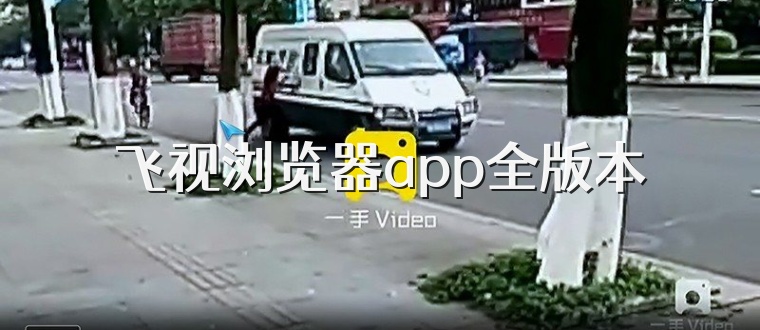 飞视浏览器app全版本