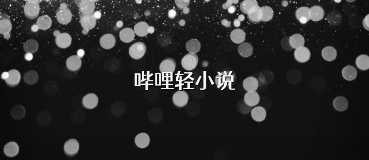 哔哩轻小说