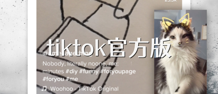 tiktok官方版