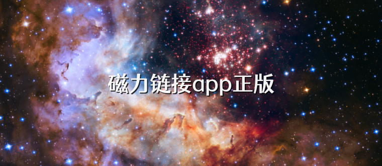 磁力链接app正版