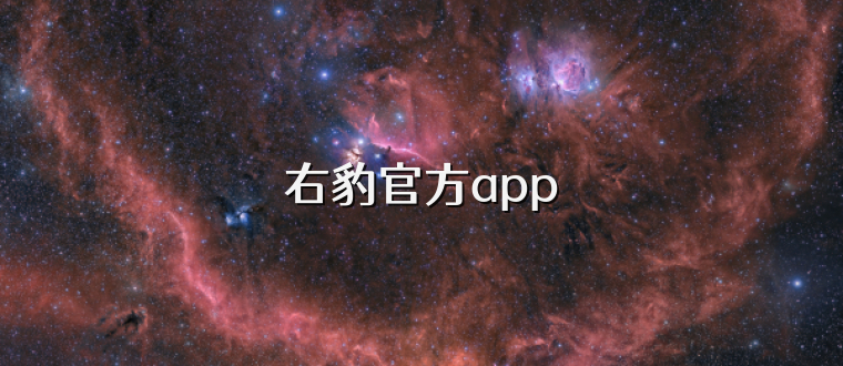 右豹官方app