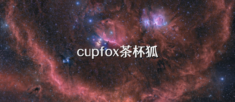 cupfox茶杯狐