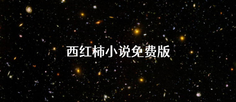 西红柿小说免费版