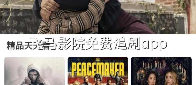 飞马影院免费追剧app