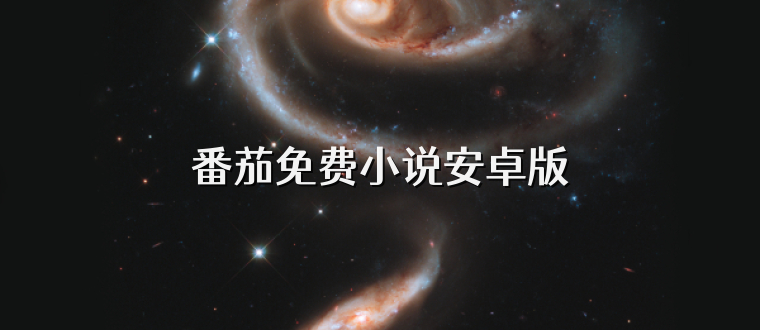 番茄免费小说安卓版