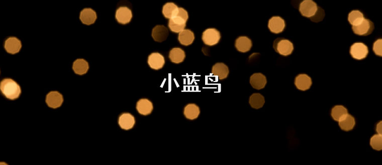 小蓝鸟
