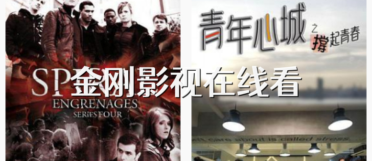 金刚影视在线看