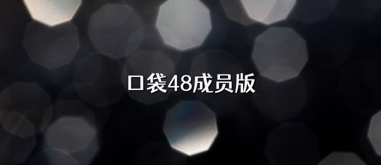 口袋48成员版