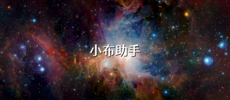 小布助手