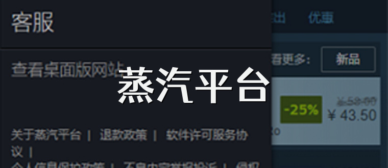 蒸汽平台