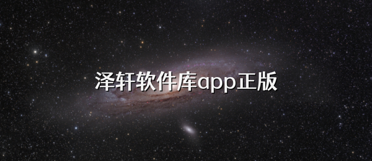 泽轩软件库app正版