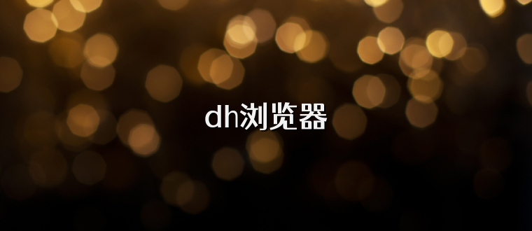 dh浏览器