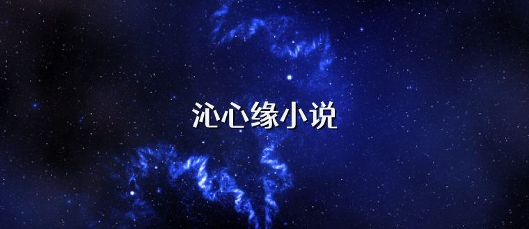 沁心缘小说