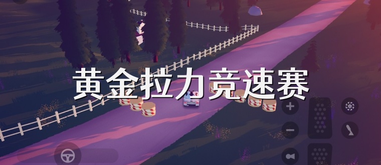 黄金拉力竞速赛