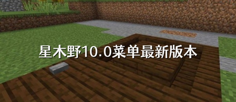 星木野10.0菜单最新版本