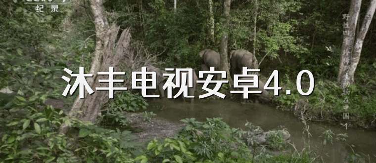 沐丰电视安卓4.0