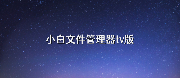 小白文件管理器tv版