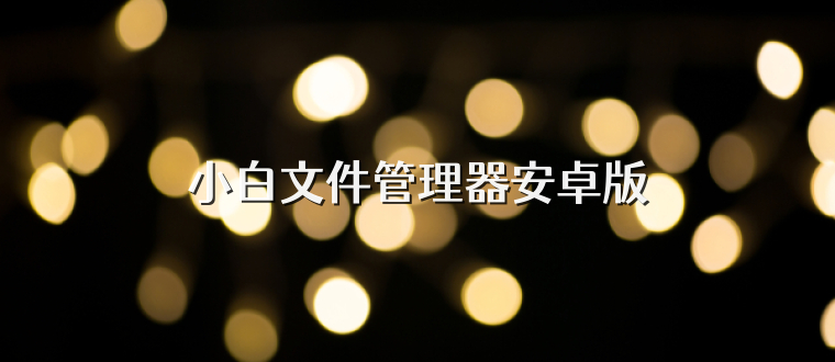 小白文件管理器安卓版