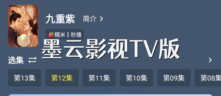 墨云影视TV版