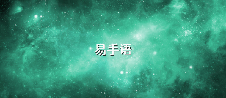 易手语