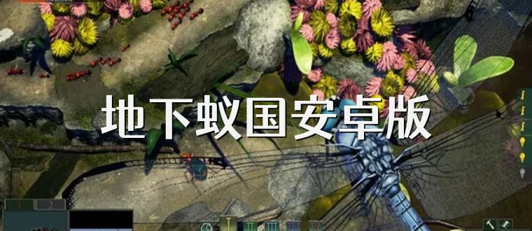 地下蚁国安卓版