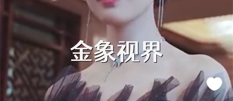 金象视界