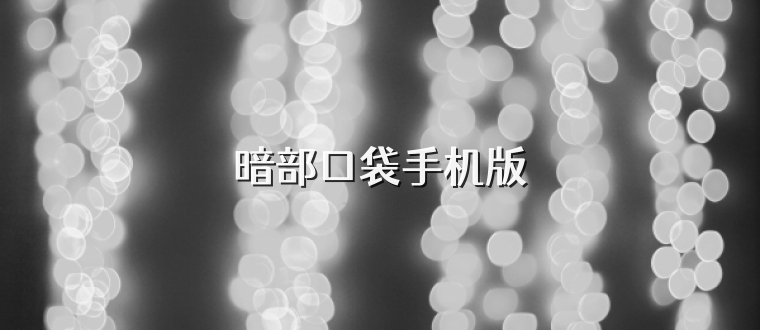 暗部口袋手机版