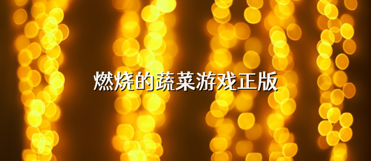 燃烧的蔬菜游戏正版