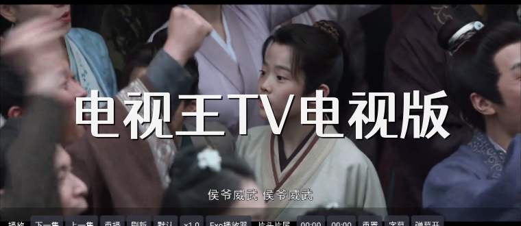 电视王TV电视版