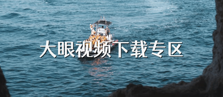 大眼视频下载专区