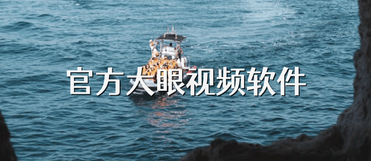 官方大眼视频软件