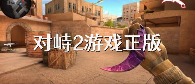 对峙2游戏正版