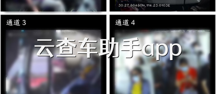 云查车助手app