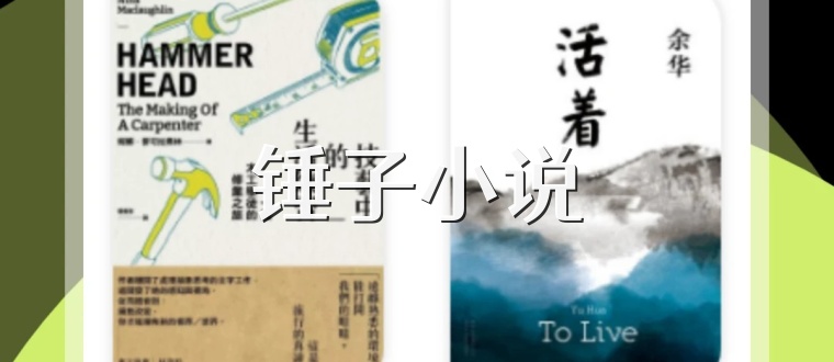 锤子小说