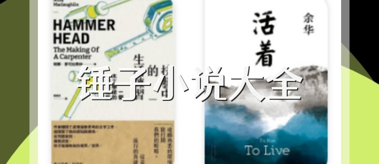 锤子小说大全
