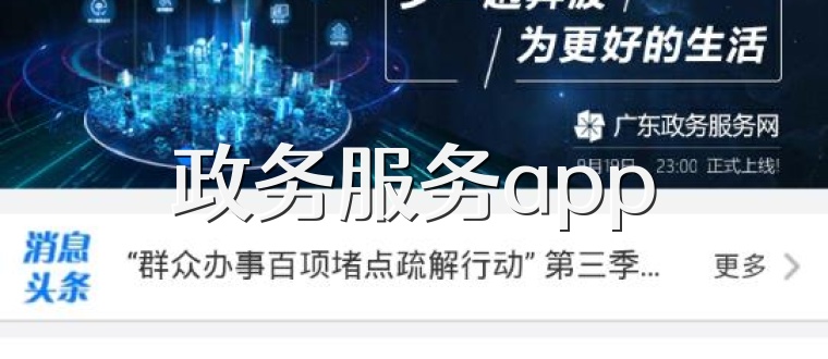 政务服务app