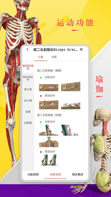 3Dbody解剖 截图1