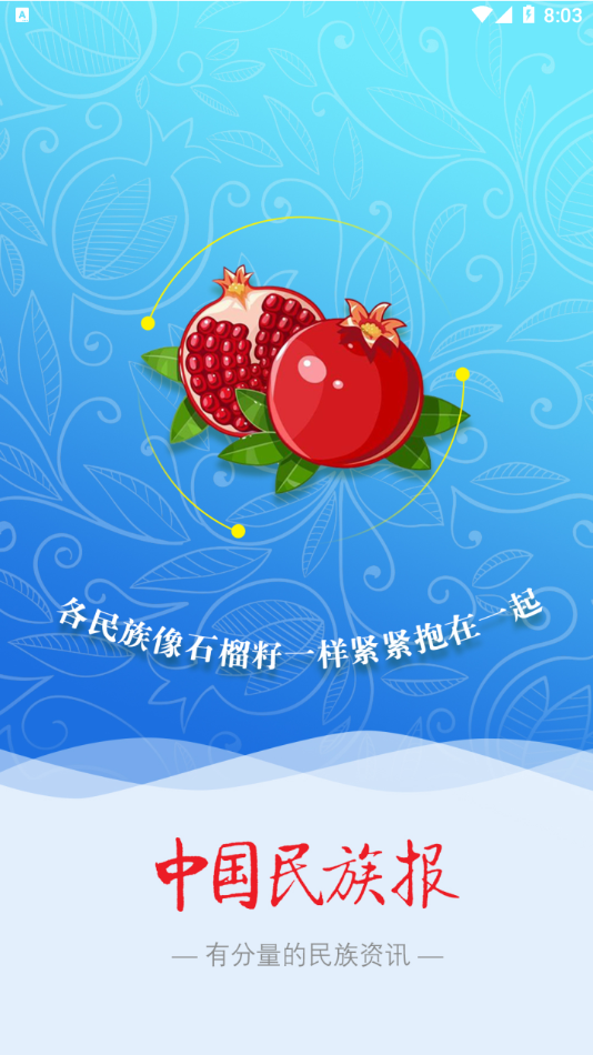 中国民族报app 截图3