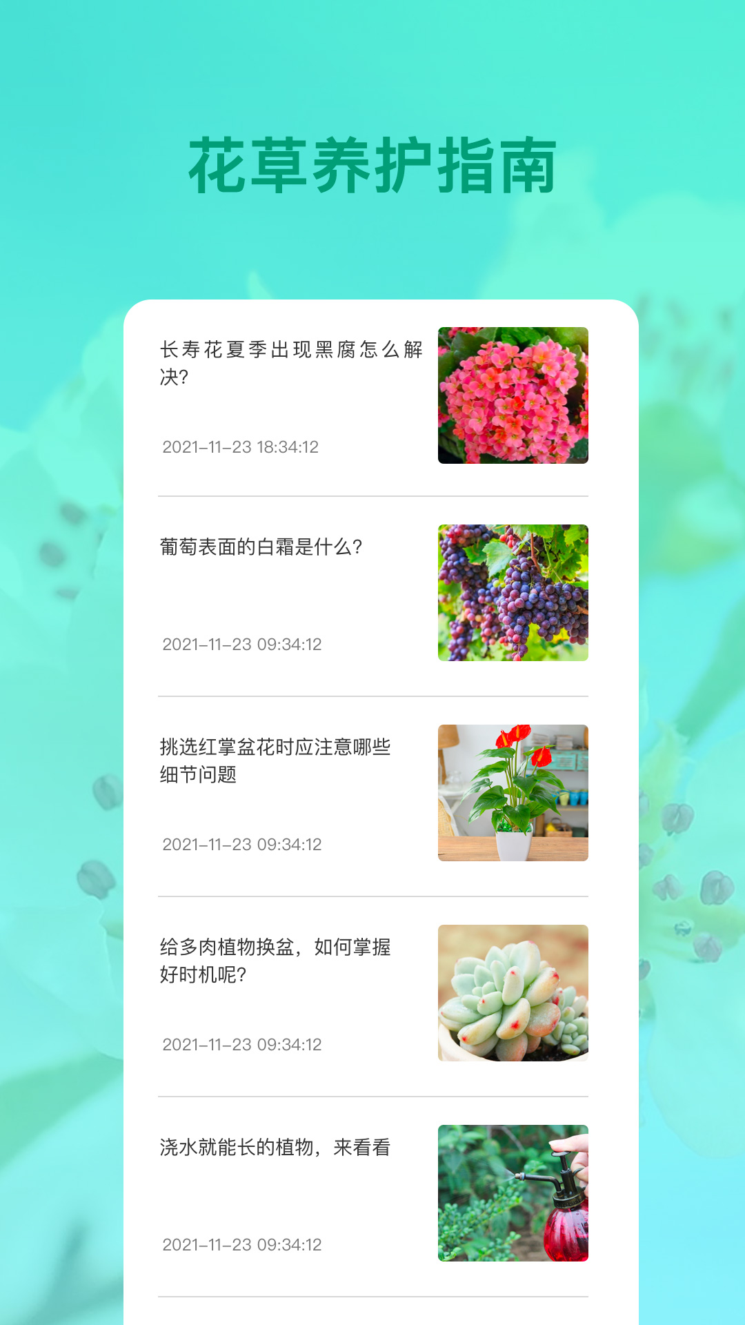 识花app 截图1