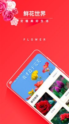 活力花 截图1