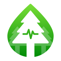 森林流量软件 v2.0.1