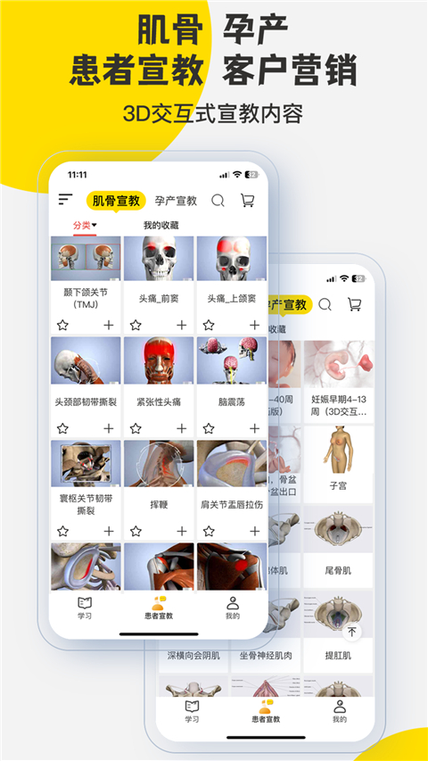 3dbody解剖图手机旧版 截图3