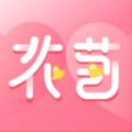 花苞app