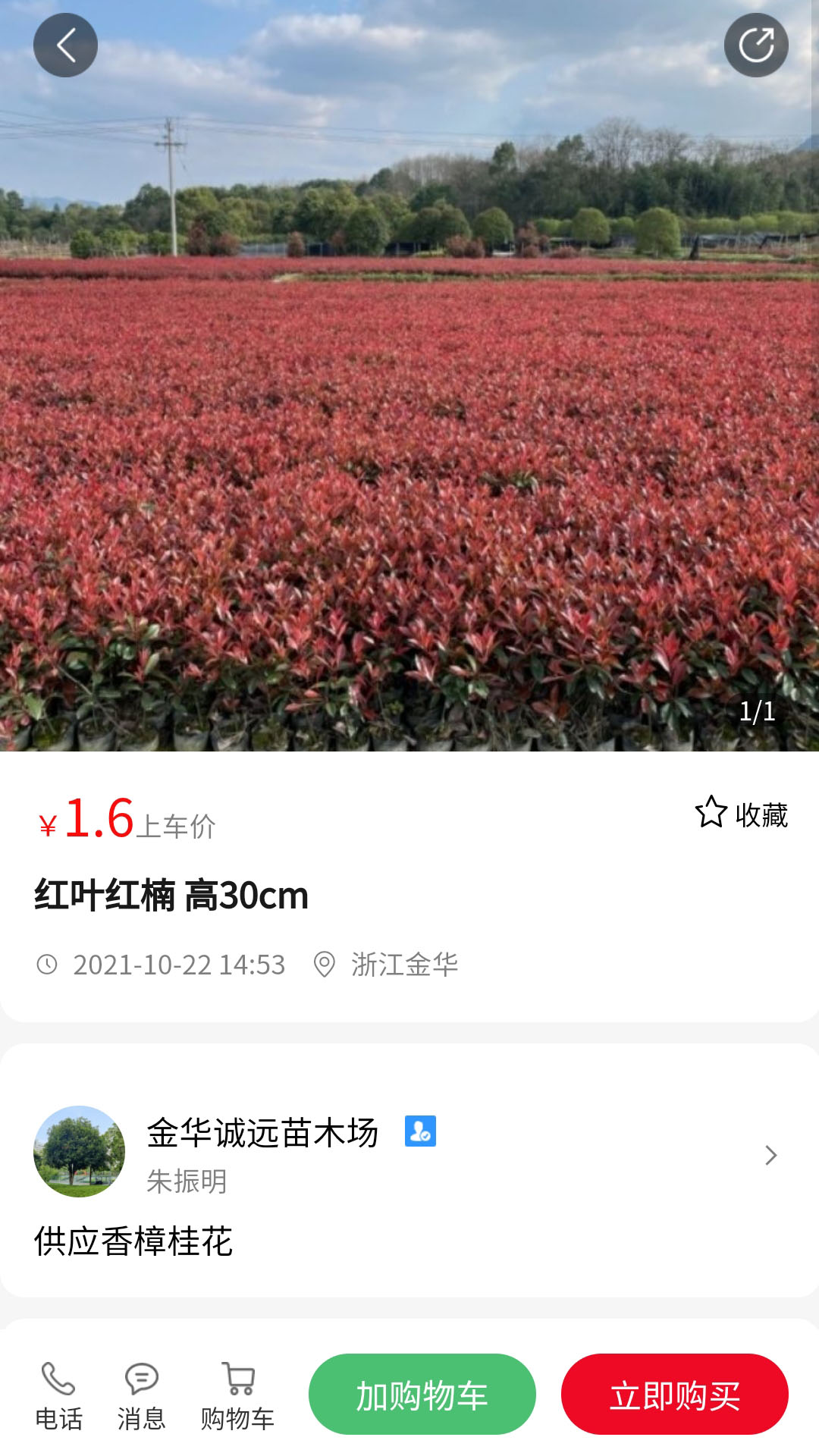 苗青青app