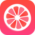 柚子转app手机版 v1.0