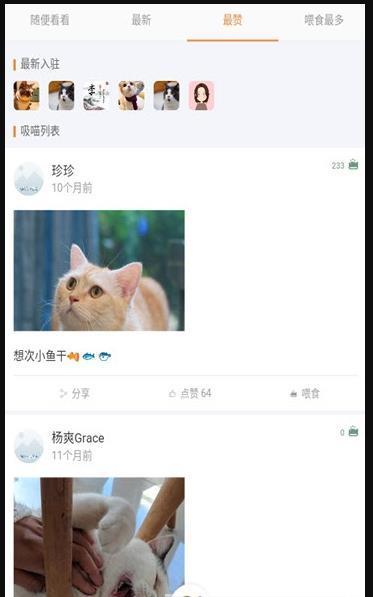 猫咪俱乐部 截图1