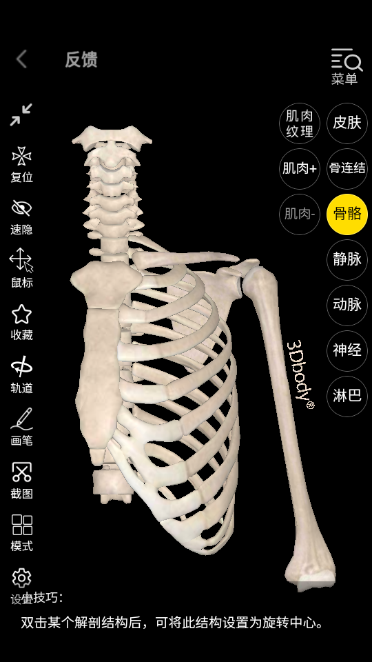 3dbody解剖学习app