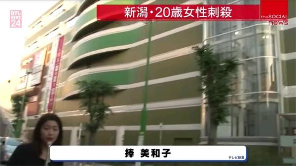 大视界tv安卓手机版 截图4