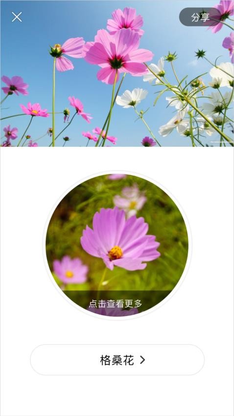 识花大师 截图3