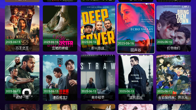 尊享影院电视版 截图4